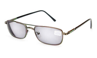 Boshi-Good Luck Veeton 8956 C2 ФХС (хамелеони)