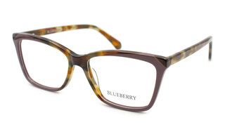 Blueberry 6500A C5