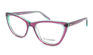 Blueberry 8016 C2