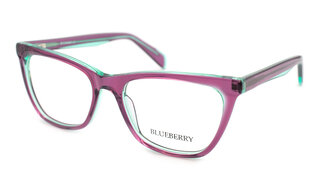 Blueberry 8017 C2