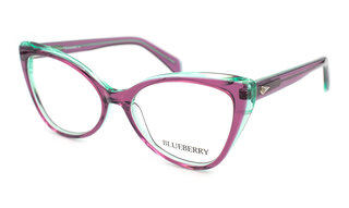 Blueberry 8019 C2
