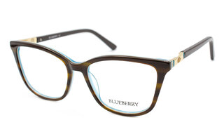Blueberry 8730 C5