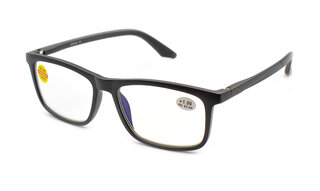 Verse 24021 C1 Blue Blocker