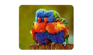 Серветка мікрофібра 193 в упаковці