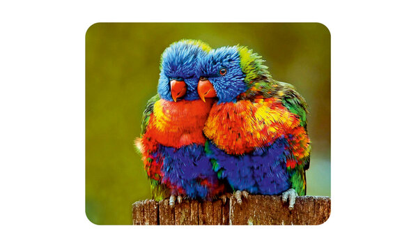 Серветка мікрофібра 193 в упаковці