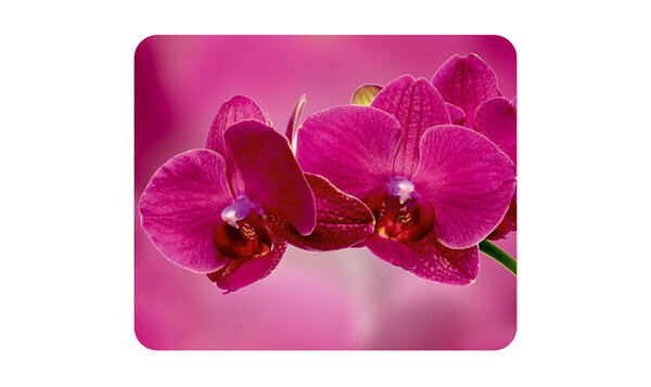 Серветка мікрофібра 205 в упаковці