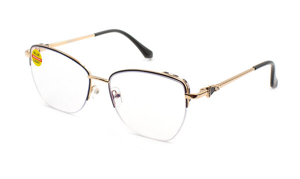 Verse 24017 C1 Blue Blocker