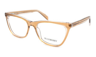 Blueberry 8017 C8